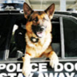 Meet your Posher, Chelsey